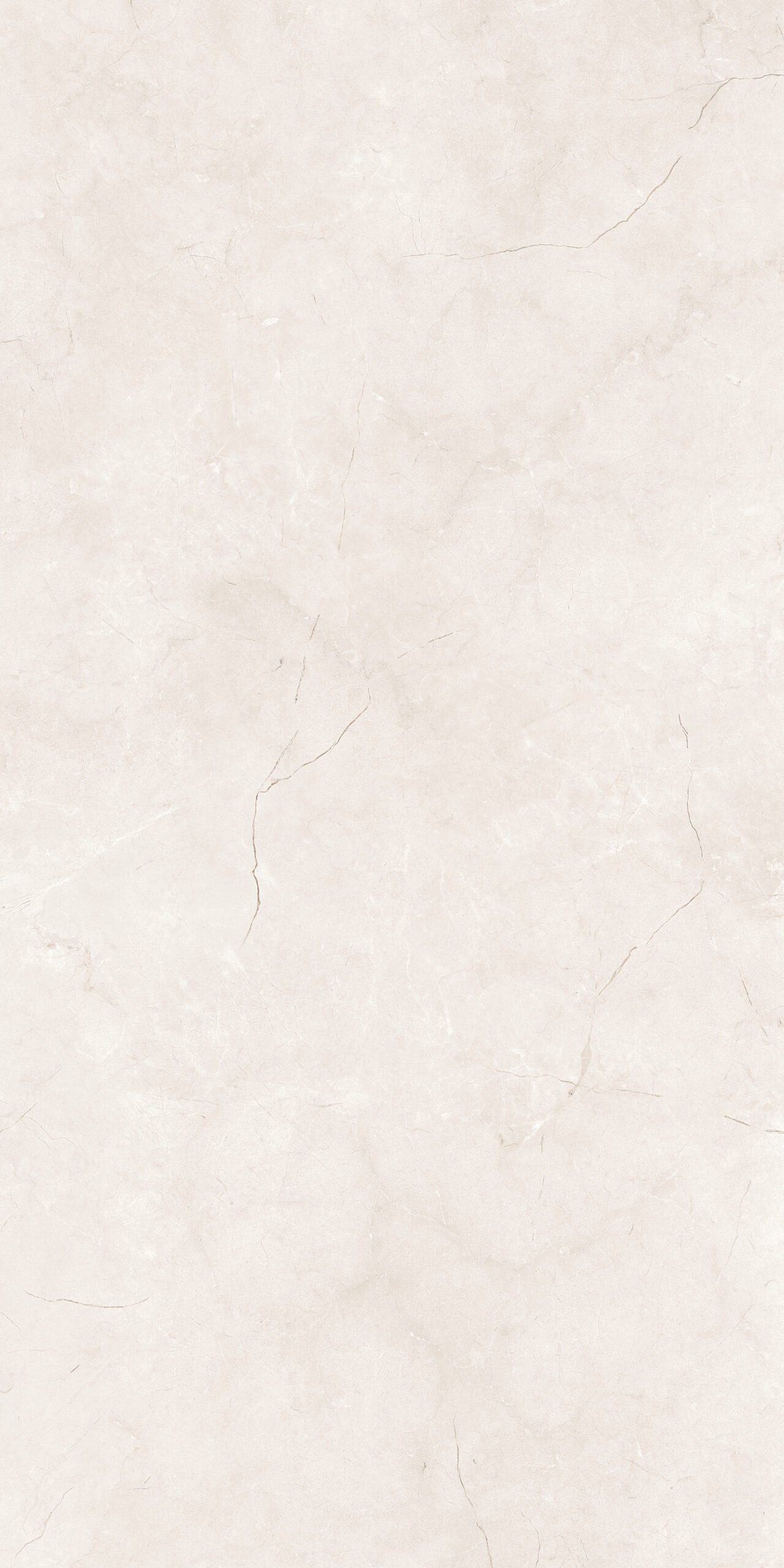 Burberry Porcelain Tile – 1200×600mm (Matt Finish) - Image 5