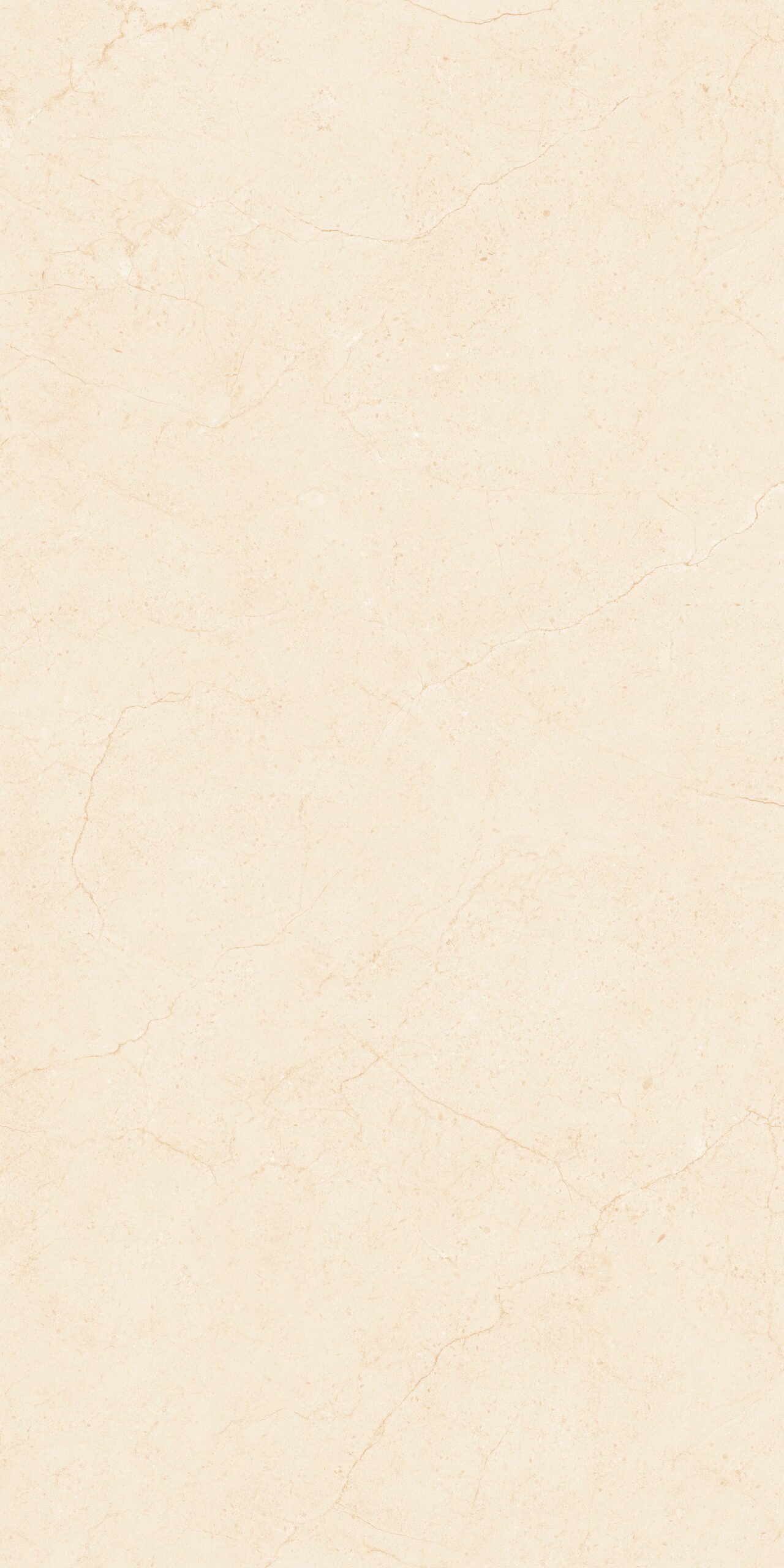 Crema Marfil Porcelain Tile – 1200×600mm (Polished Finish) - Image 4
