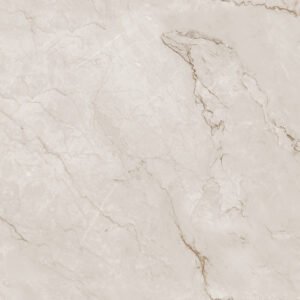 Porc 10 Ash End GVT Tile – 600×1200mm (Glossy Finish)